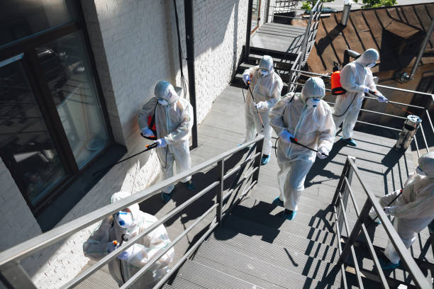 Best Emergency Mold Remediation  in Irondale, GA