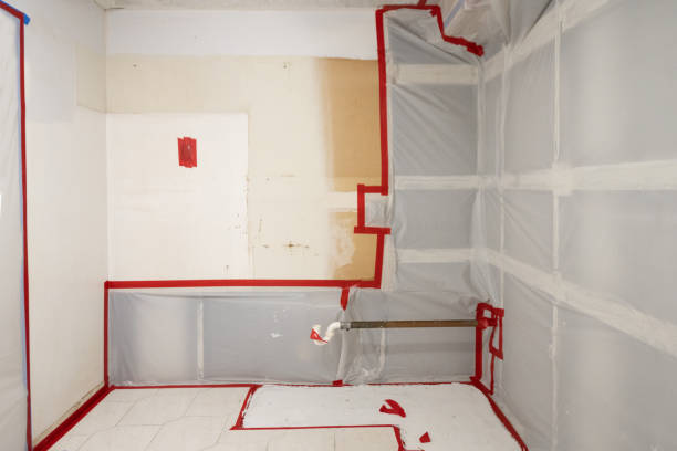 Mold Odor Removal Services in Irondale, GA